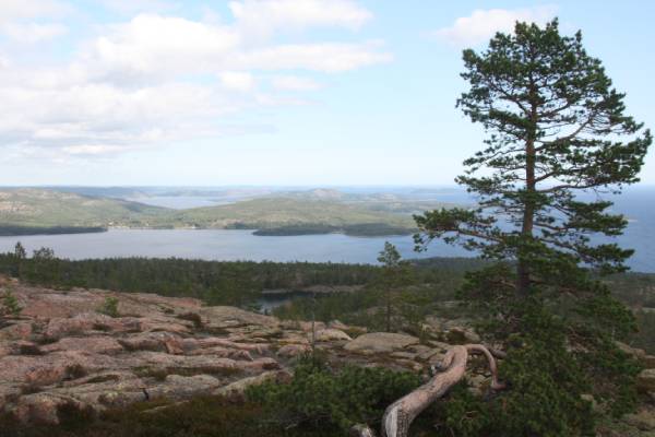 Parque Nacional de Skuleskogen