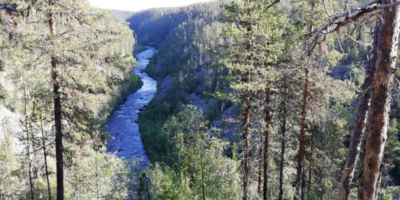 Parque Nacional de Muddus/Muttos