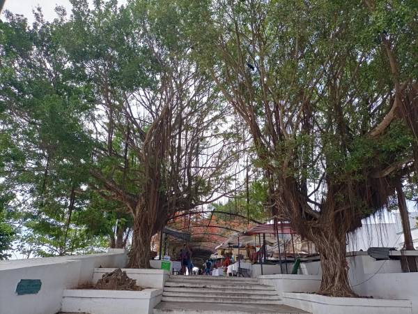 Paseo de las Bóvedas