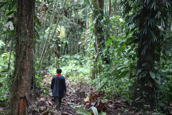 Indígena Cofán en "el mejor lugar de la selva"